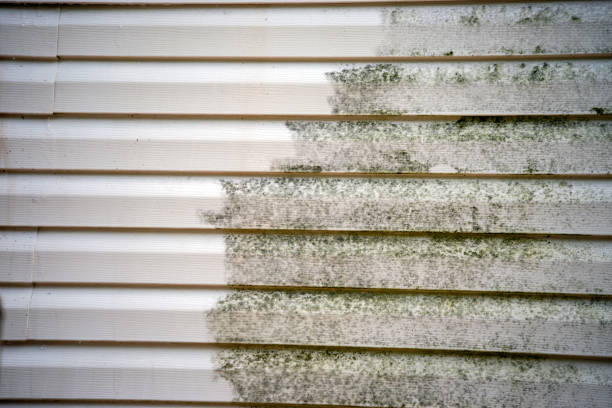Best Custom Siding Design  in Jackson, LA