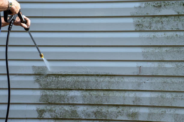 Best Storm Damage Siding Repair  in Jackson, LA