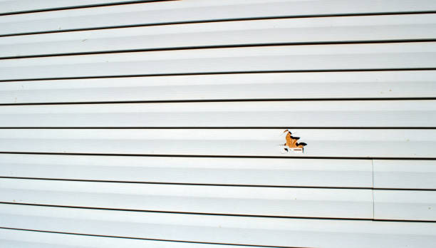 Historical Building Siding Restoration in Jackson, LA