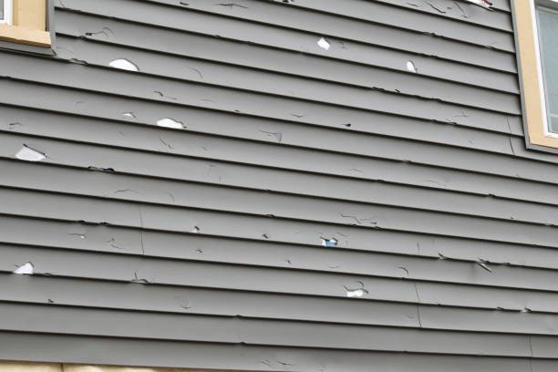 Best Composite Siding  in Jackson, LA