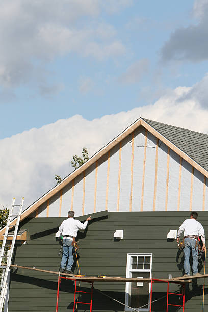 Best Historical Building Siding Restoration  in Jackson, LA