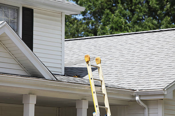 Affordable siding repair and maintenance services in Jackson, LA